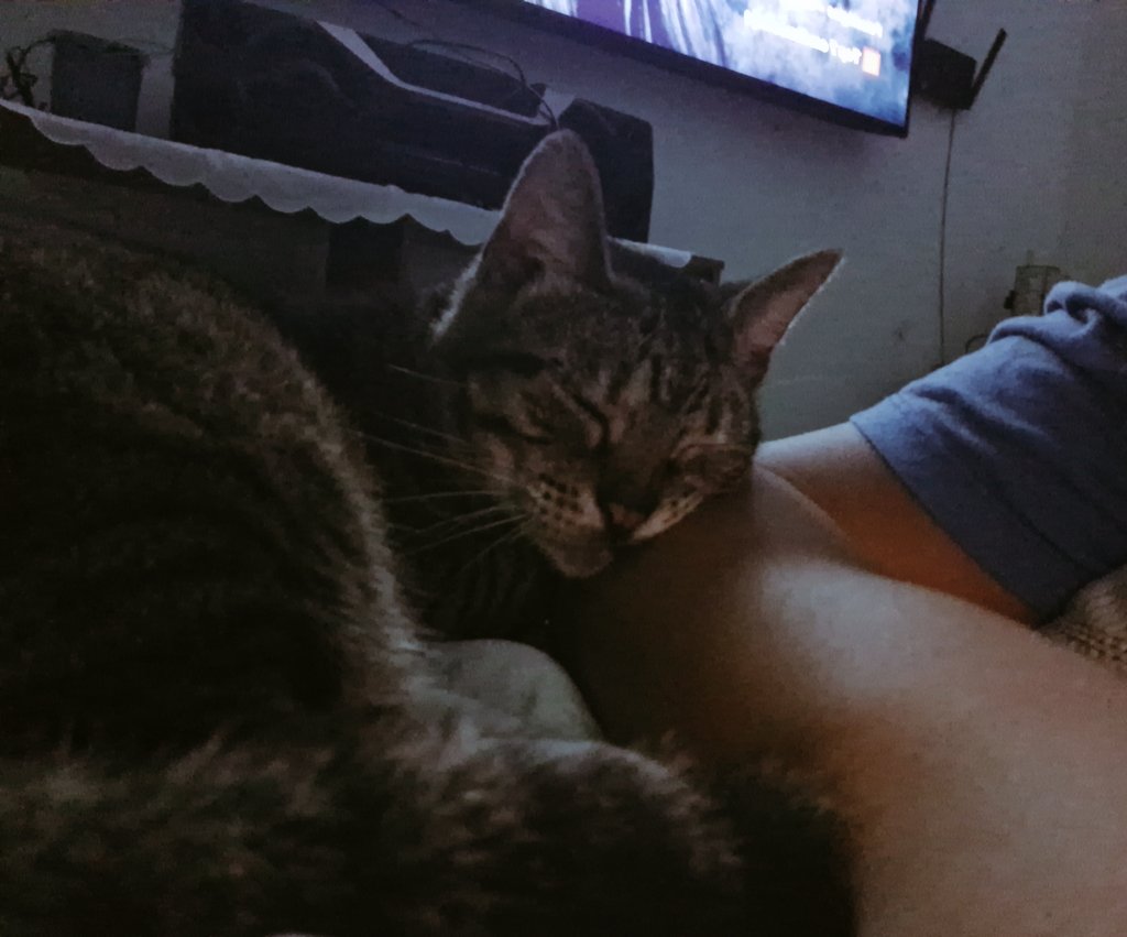 nixoly3's tweet photo. Nenem de mamãe 🤍 https://t.co/JyNJS09dln