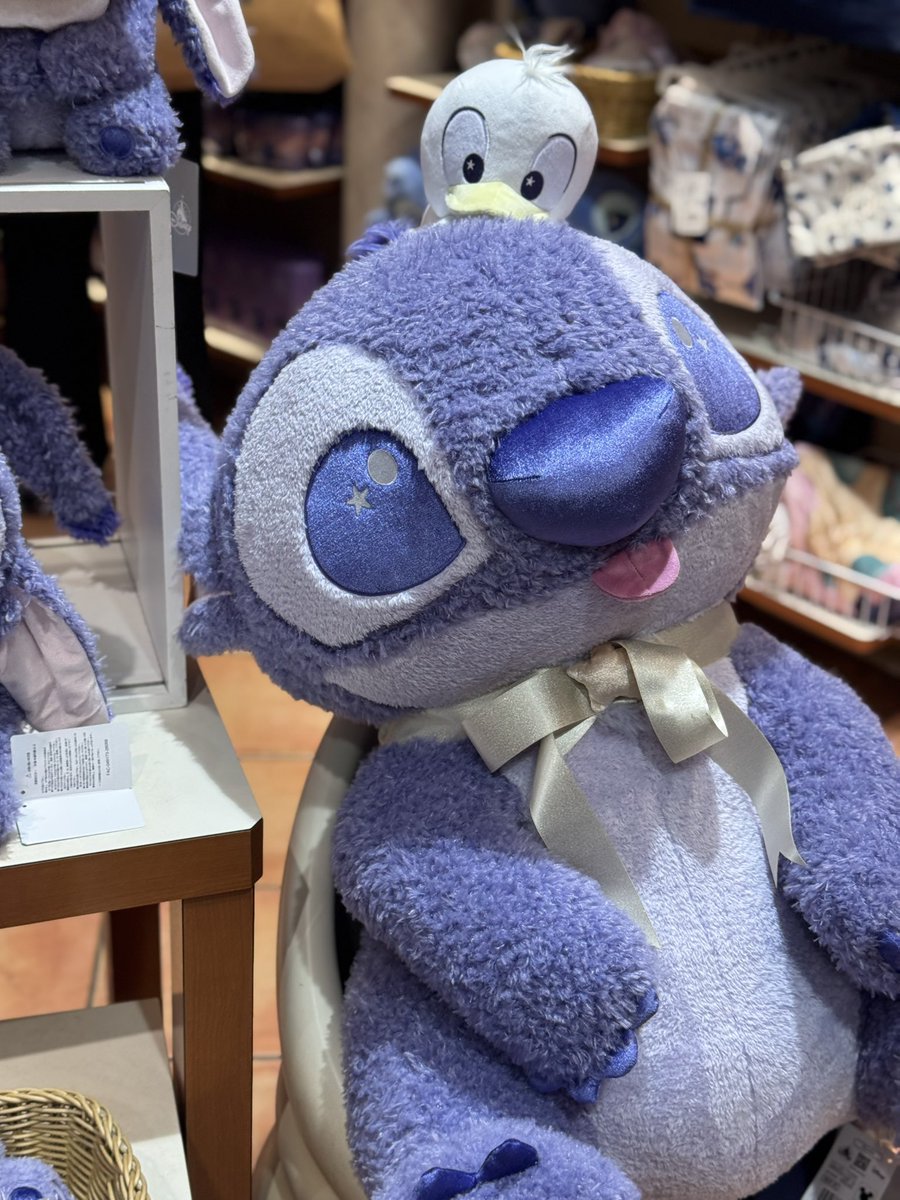 Yui_onlysosuke's tweet photo. (*∩´꒳`∩*)(∩´∀`∩)💕 https://t.co/PJ1bPIcDbE