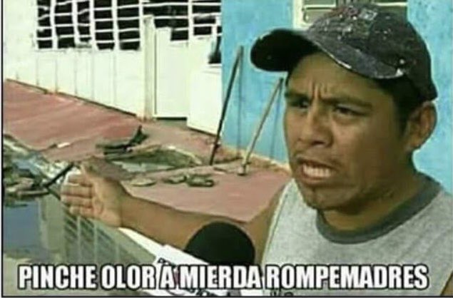 LucaLsa23's tweet photo. @chibcholandia https://t.co/S74LiLqvKX