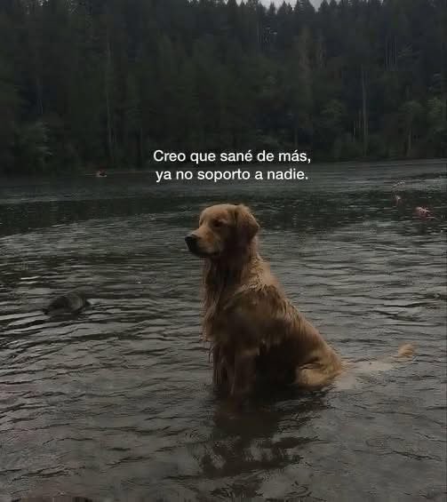 Javisness's tweet photo. A nadie https://t.co/bru2AicZkK