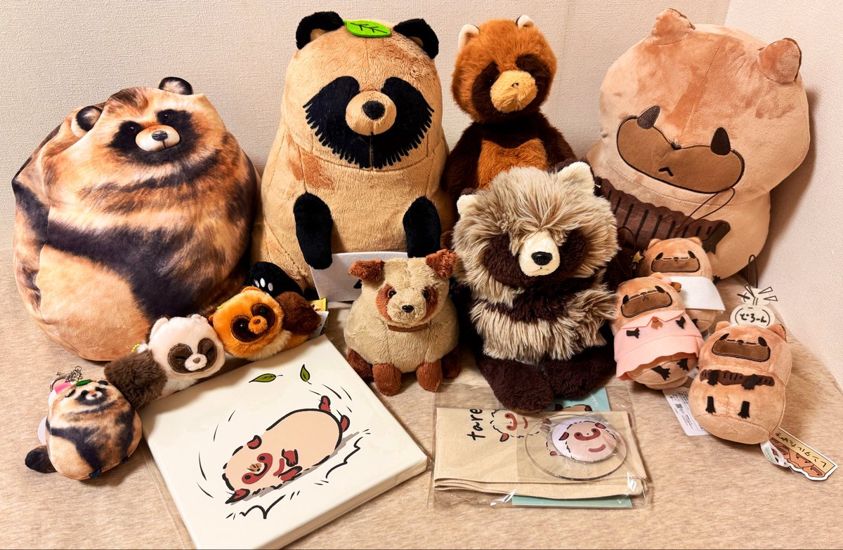 tanuki_oshimai's tweet photo. わたぬきサブレ《 @sablee0 》さんのたぬき、たれみみちゃんが数日前にお家に来ました✨

小さくモフモフしている姿と垂れたお耳が可愛いくて癒される🤤
最後はたぬきぬい達と記念写真📸

たれみみちゃん、これからよろしくね🍠✨ https://t.co/I4kI2kody8