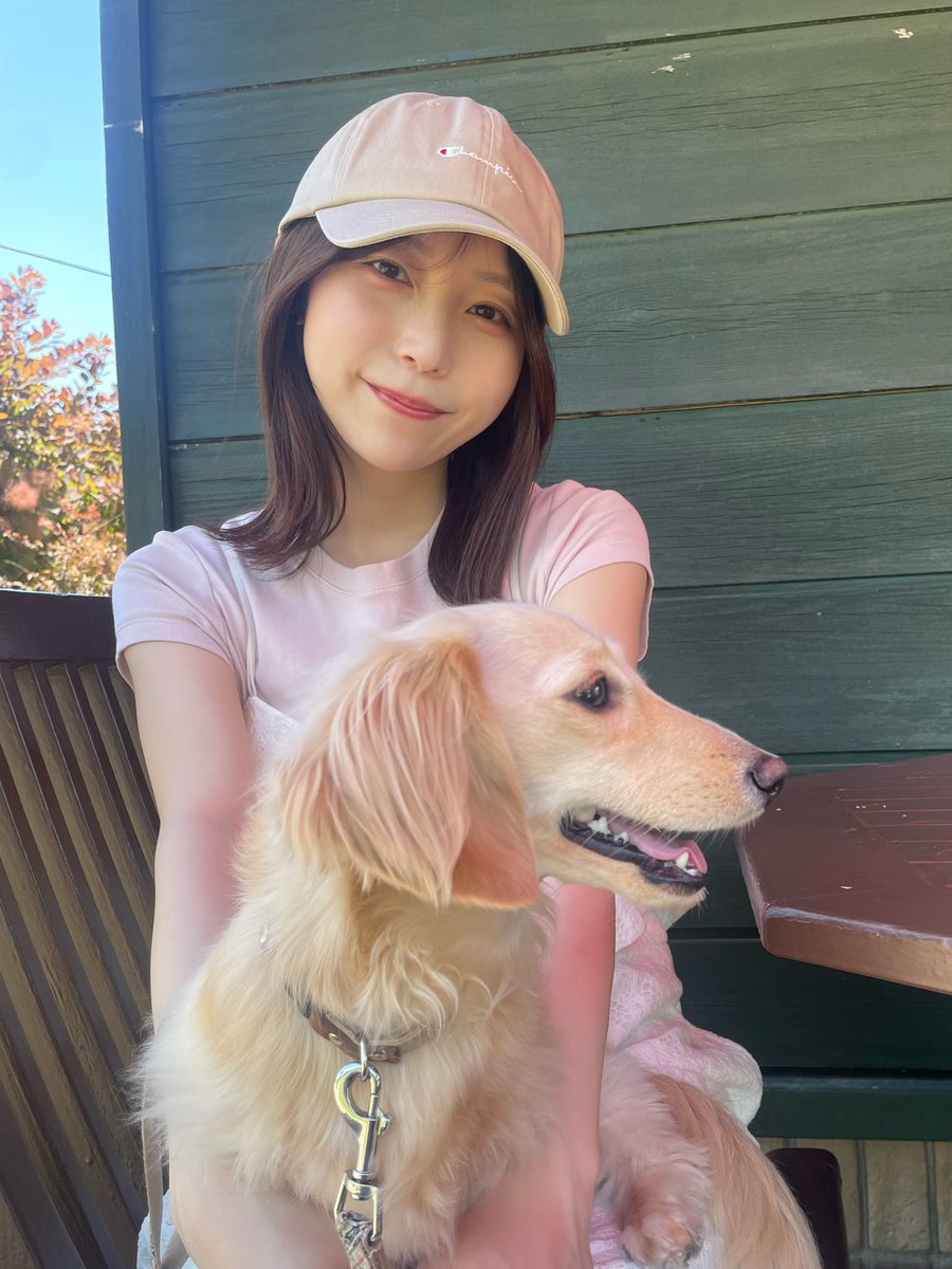 acha_maruru's tweet photo. のあが一瞬ゴールデンレトリバーに見える写真🤩 https://t.co/b7tOmUMfJ5