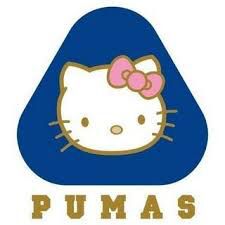 LightYagami_MTY's tweet photo. @Dynapunto @_JessSanti Ánimo bro, tienes el prestigio de orinar a los diminutos Pumas https://t.co/xCZPnbZUbv