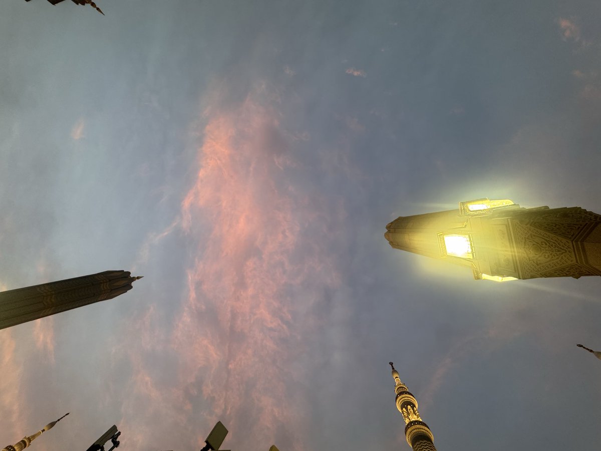weirddo82's tweet photo. Always magical ❤️🌸 https://t.co/k1U9qWaVQv