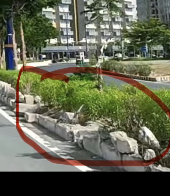vanditsh's tweet photo. @gujarat_plus_ Look at the condition of divider . https://t.co/uCoAuJ1RkV