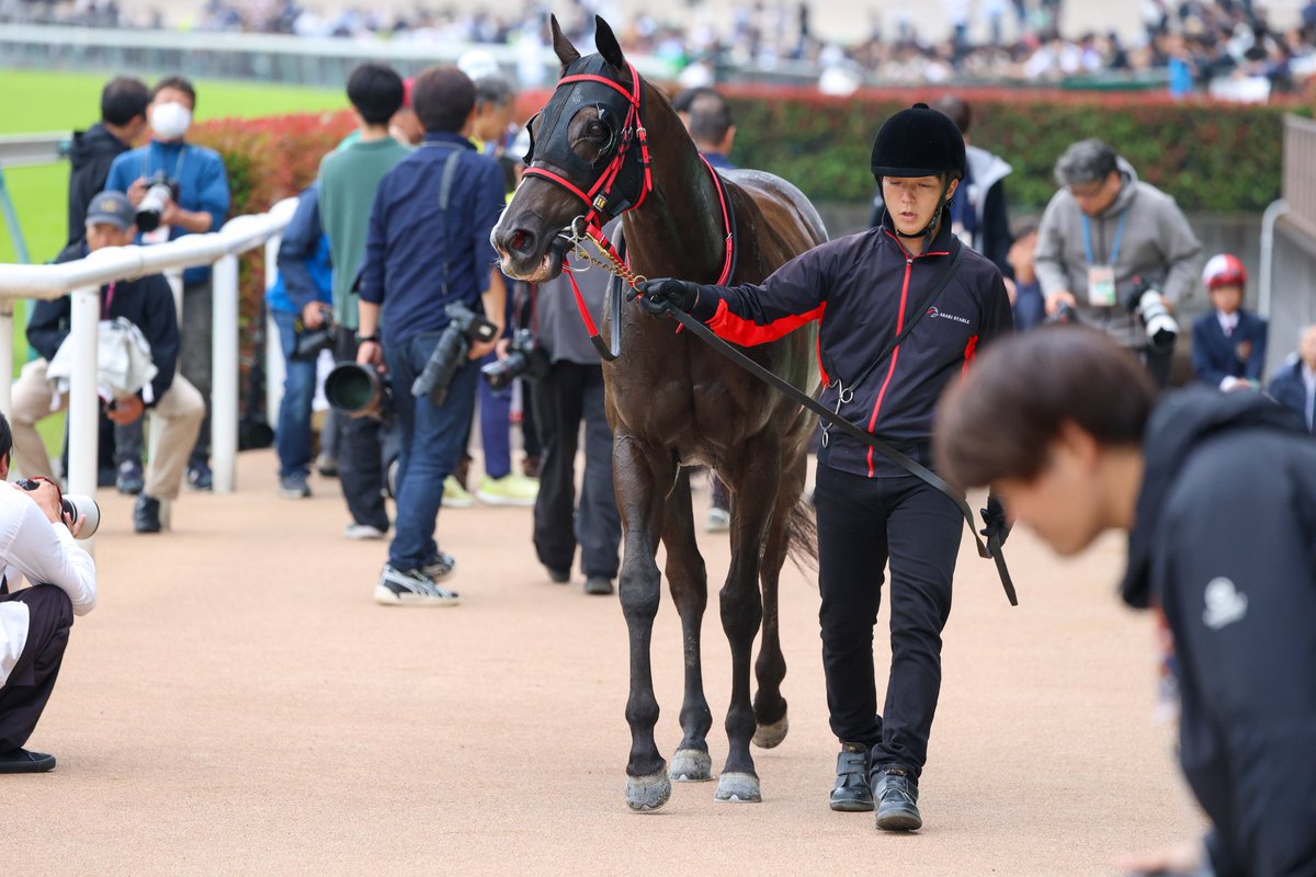 Orfe20122013's tweet photo. Francisco Goncalves🇧🇷🇦🇷 &amp; Sonic Line🐎
June 7, 2026, TOKYO 8R
1600m, Turf, 3-Year-Olds &amp; Up, Allowance🥇 https://t.co/L6XC16dhJt
