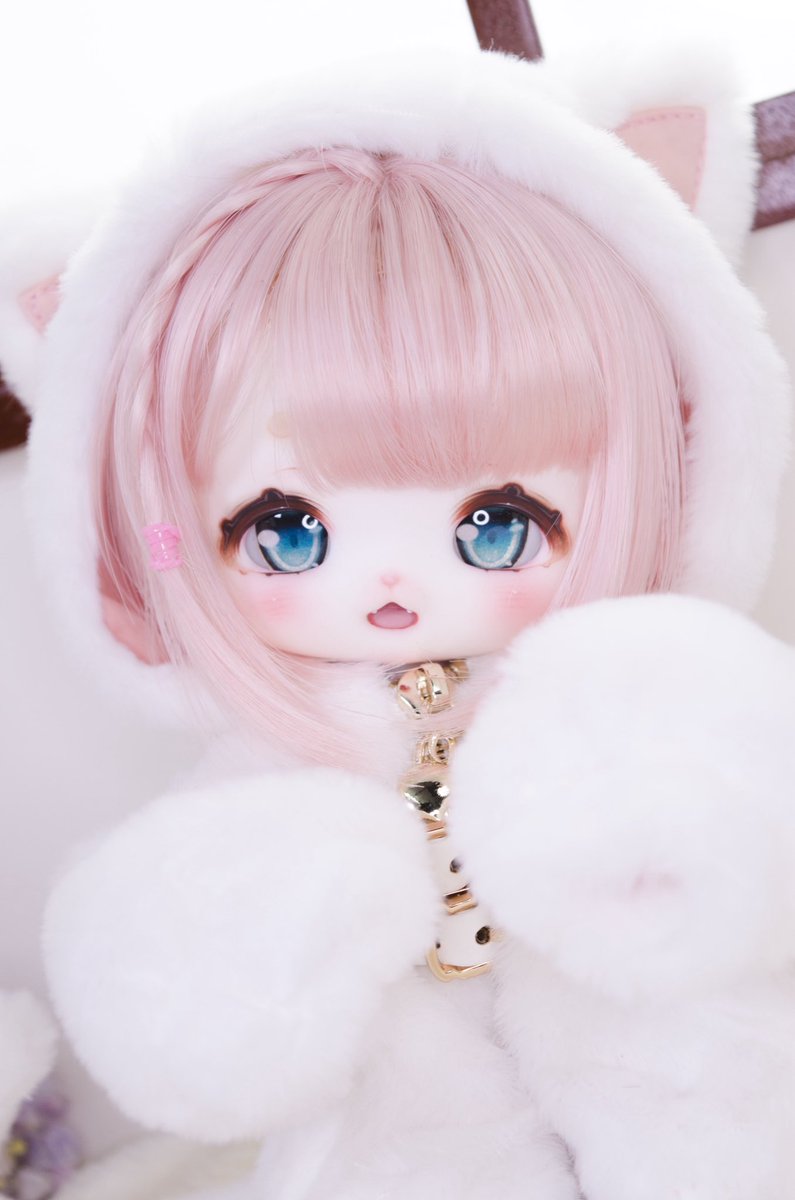 くまきち (@bearbeartyan) / Posts / X