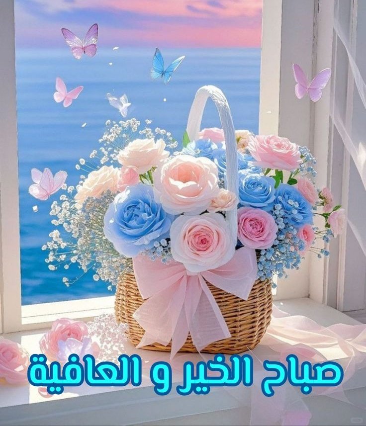 Shahid_alqasid's tweet photo. @mr_turkey2 https://t.co/WW39yn2B4F