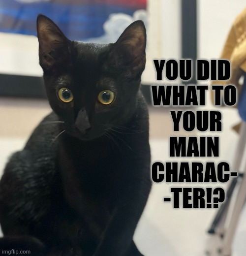 NoahRayWrites's tweet photo. Cat pic for this meme courtesy of @justcastellon https://t.co/YLfiiVT9NP