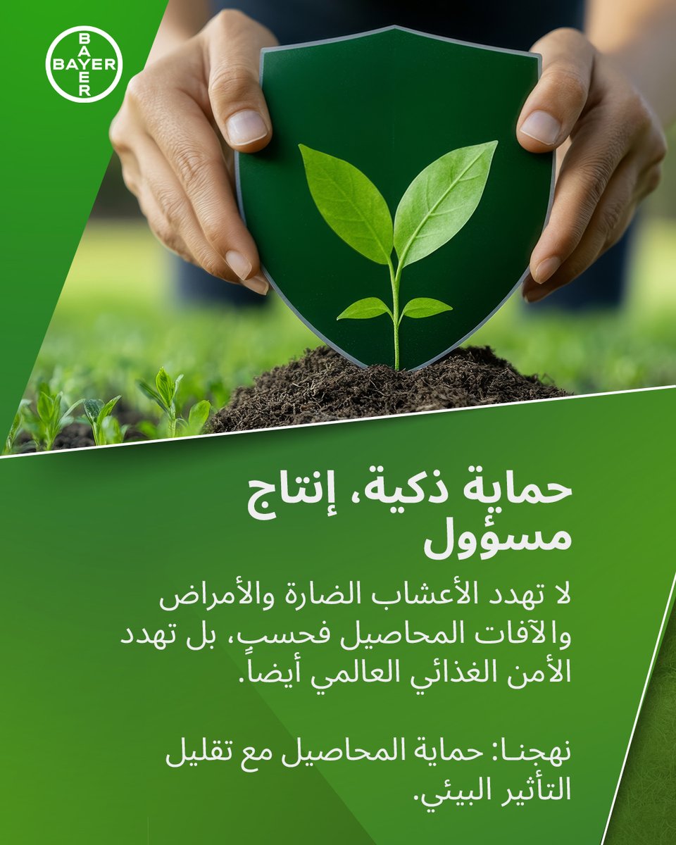 BayerMiddleEast's tweet photo. مع تزايد الطلب العالمي على الغذاء، نبتكر حلولاً زراعية مستدامة توازن بين الإنتاجية والحفاظ على التنوع البيولوجي لدعم المزارعين في مواجهة تغير المناخ.🌾

اكتشفوا المزيد عبر موقعنا الإلكتروني: https://t.co/CbPor7WGyx

#الصحه_للجميع #لا_للجوع https://t.co/IAhHNQgr1q