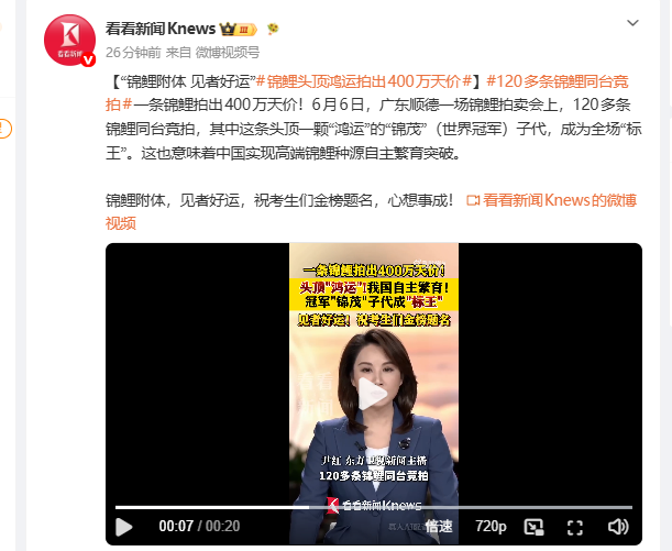 BSCSBTI's tweet photo. 新闻刚刚发布，一条锦鲤拍出400万天价！

锦鲤附体，见者好运

https://t.co/KYmAEpsMLc https://t.co/PAxfSVOnoD