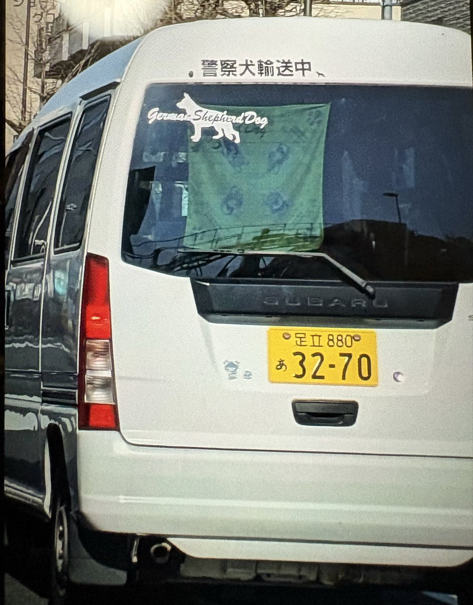 MMM…🚌 tweet media