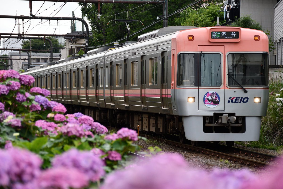 train6000's tweet photo. 5/27～6/7
京王井の頭線1000系
1753F{AZKi(ホロライブ)×京王電鉄コラボHM}
#AZKi100万人記念 https://t.co/Q1cUrHoBI9
