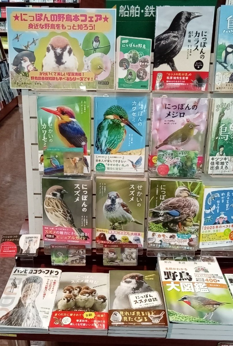 bunsdbaoota_jp's tweet photo. 日本だけじゃない

『#にっぽんの野鳥本』フェア

世界の野鳥もご覧いただけます😄

スズメといえば
お馴染みの茶色い小鳥と思い込んでいた中の人
『#せかいのスズメ』の
灰色の帽子を被った表紙にビックリです😳

#KANZEN
#太田市書店 #24時間営業 #早朝営業 https://t.co/W1VCgW3Gsy