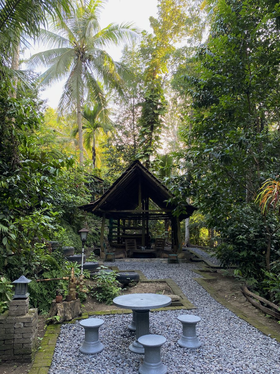 Perbsian's tweet photo. Definisi nyantai di tengah hutan. Kalian kalau disini sendirian berani ga hehe

Loc: Kopine Ngambang, Jogja https://t.co/BDAcBoeeog