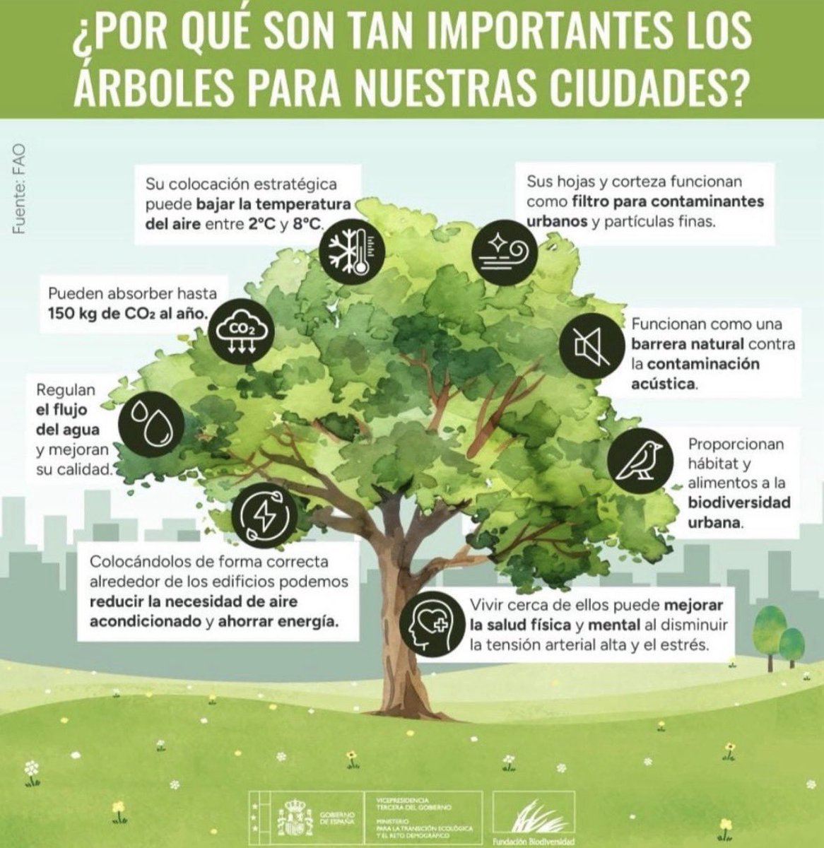 danielsenderos's tweet photo. La importancia del reverdecimiento de las ciudades para luchar contra el cambio climático y proteger la salud de las personas. https://t.co/YBRWJ9vASA