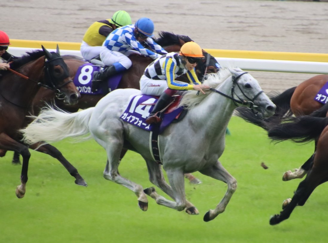 yuu_ka5963's tweet photo. 東京11R　安田記念
ガイアフォース
２着。
なんで、どうして😭
勝った馬が凄い。勝った馬が凄い⋯それは分かってるしこんな事を言っちゃいけないのも分かってる。けど、ガイアフォースを勝たせてあげてって言いたくなるよ😭 https://t.co/x4fNfJLFPd