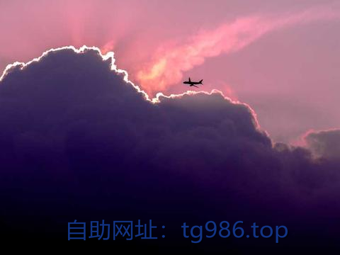 karagoz_ta6410's tweet photo. 电报使用说明 电报收不到验证码
纸飞机改中文 tg账号
纸飞机汉化
美区id
电报解除18+ 纸飞机账号 https://t.co/3mDWBM7Abx