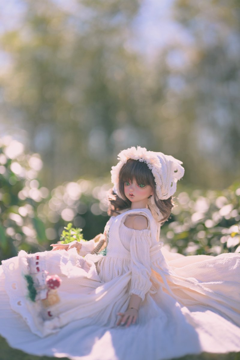 pale_day's tweet photo. #peakswoods 
#픽스우즈 
#うちのこかわいい https://t.co/bjKti5Xwu9