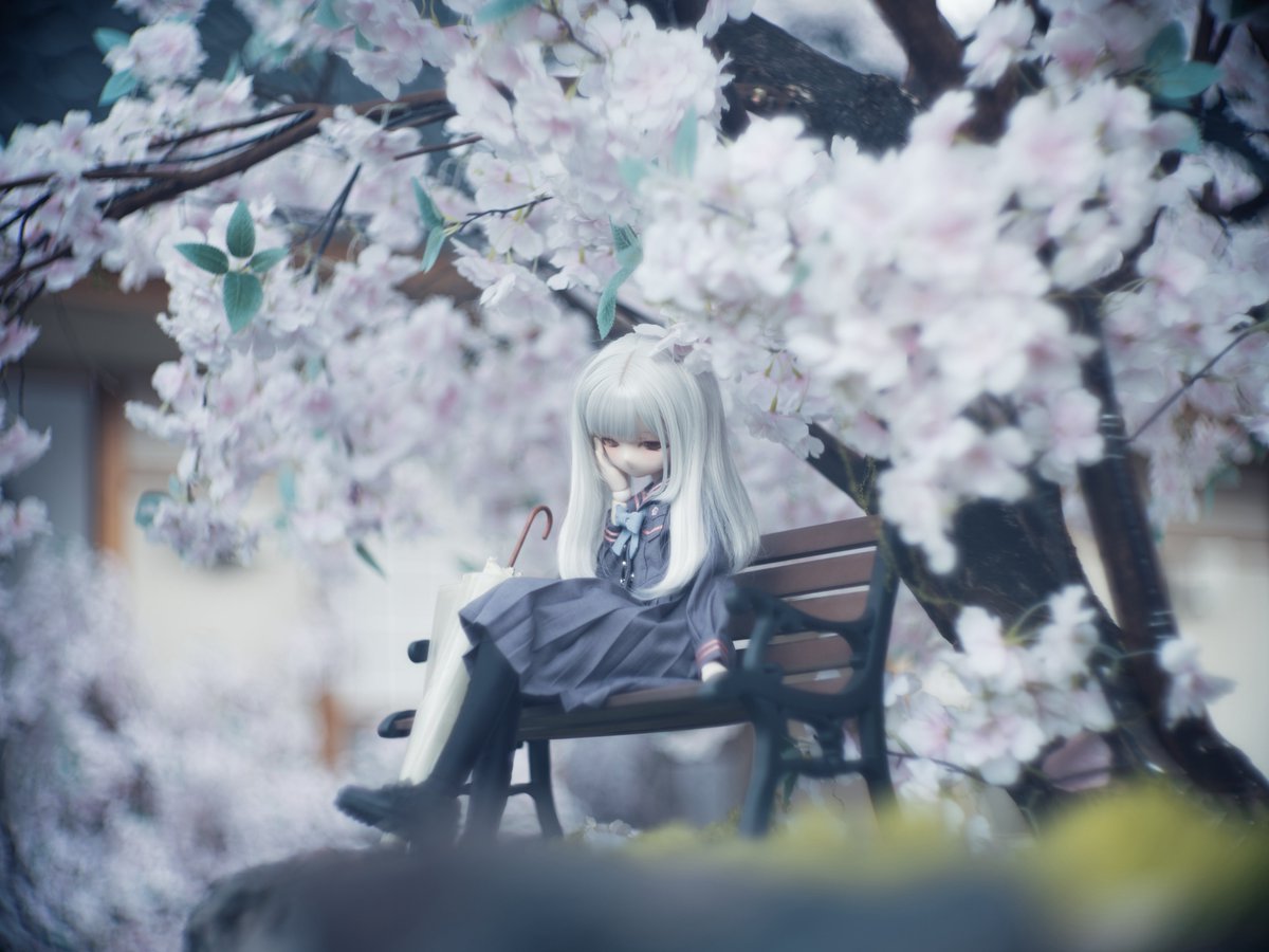 Ruinabag8492's tweet photo. 🪑🪑🪑

#みとねるっ子 https://t.co/x5PAjOiLe0