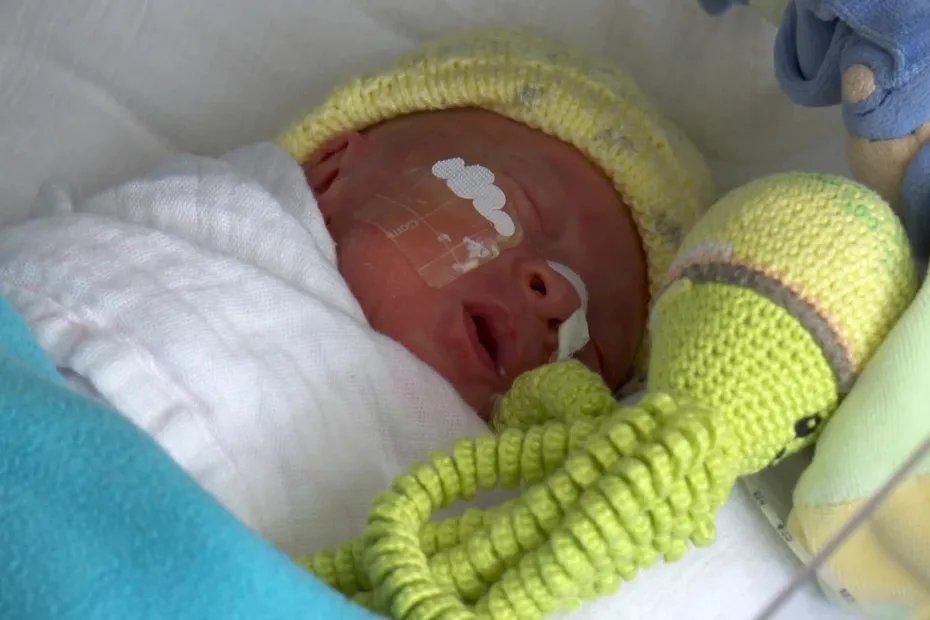 F3Alsace's tweet photo. Des petites pieuvres crochetées pour les bébés prématurés https://t.co/MfAY8nPYom https://t.co/yxSvwOzR3L