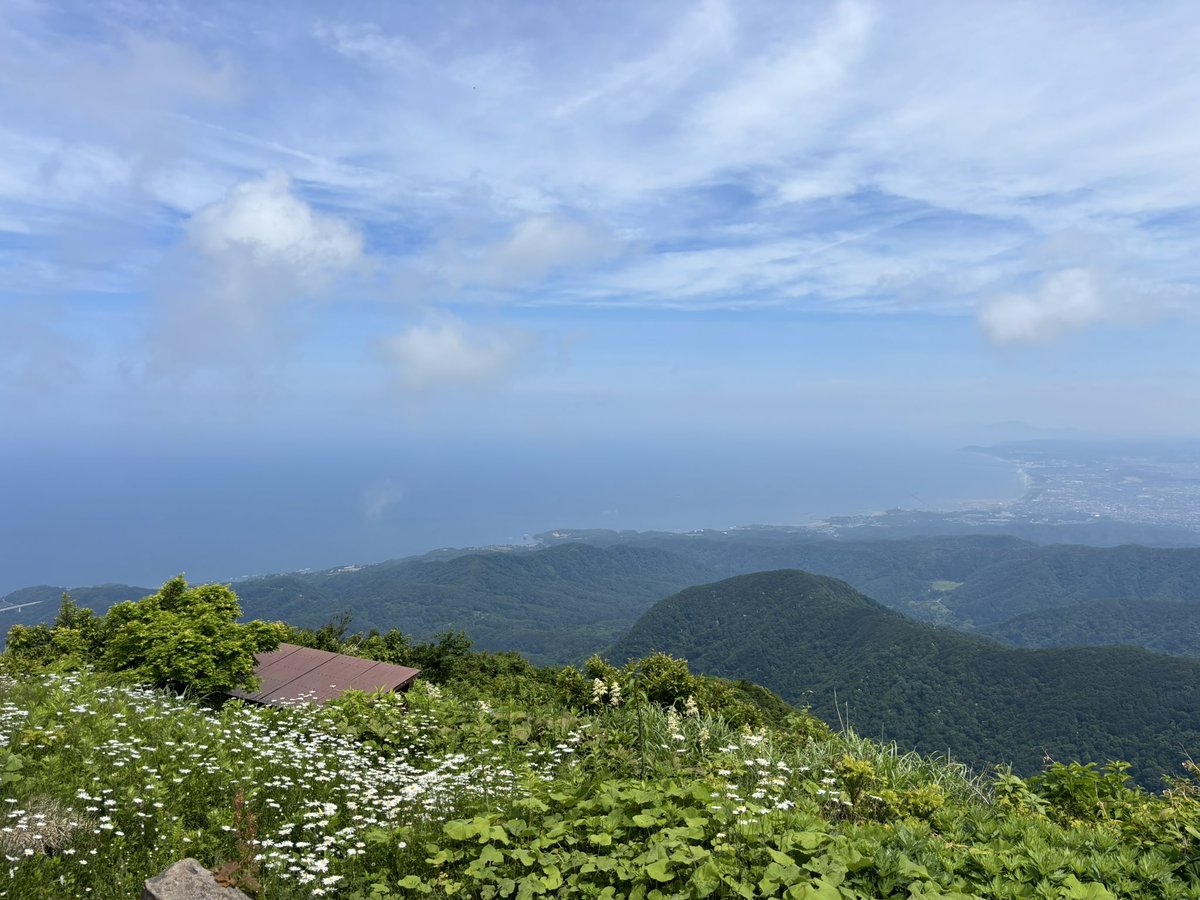 yozko2's tweet photo. 今日は柏崎市の米山へハイク
山頂からの海が一望出来るの、海沿いの山ならではですね！
そして、山頂の小屋に天使がいたよ🪽 https://t.co/P0in2Uhi0z