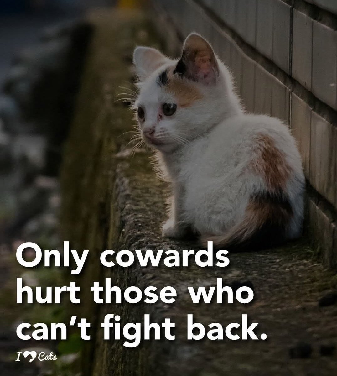 CocoanutAmyWood's tweet photo. @nimernight38961 True. https://t.co/1z9CaEto8Y
