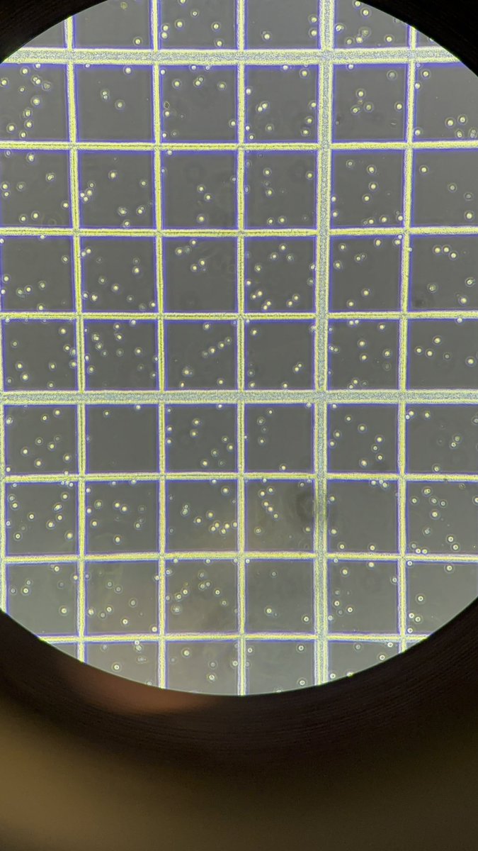 fallingkissy's tweet photo. @lovedipandpip scientist!! https://t.co/W16c6fN8mj
