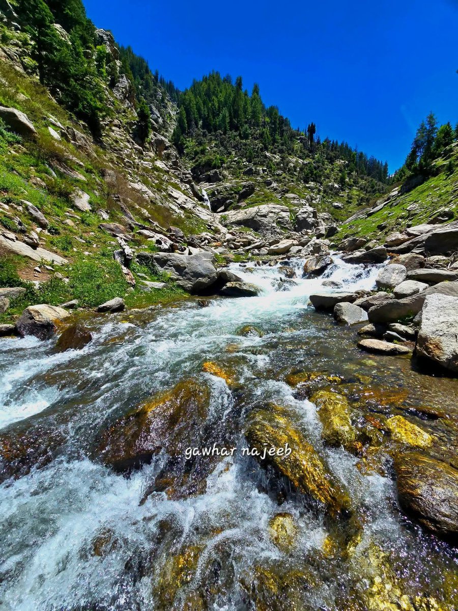 DMandozai's tweet photo. نورستان د وطن ښکلا https://t.co/GaeOtVLwPG