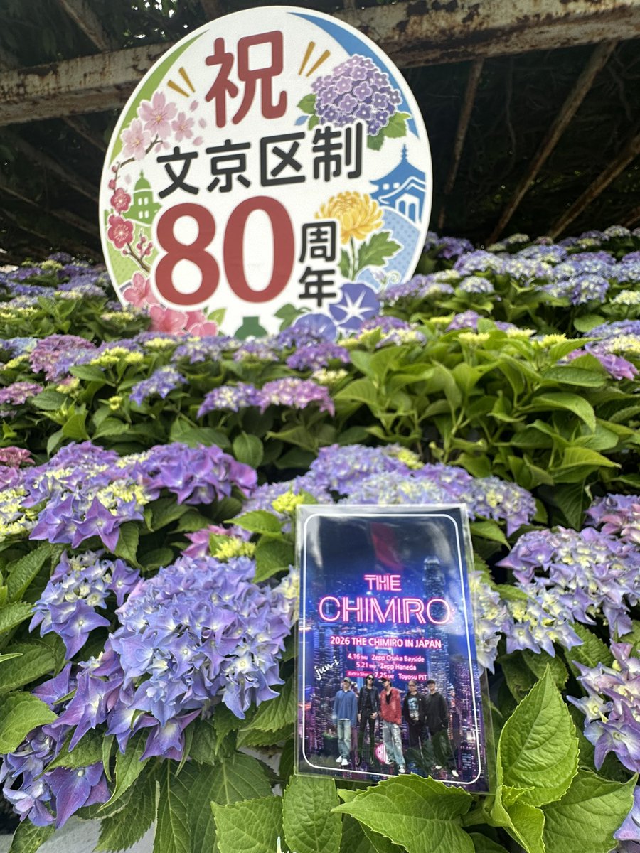 kunikatu92's tweet photo. 文京区白山神社あじさい祭りに行って神番祈願🙏
#CHIMIRO豊洲
#TEAM_H名古屋 https://t.co/z9VZZTNZ1a