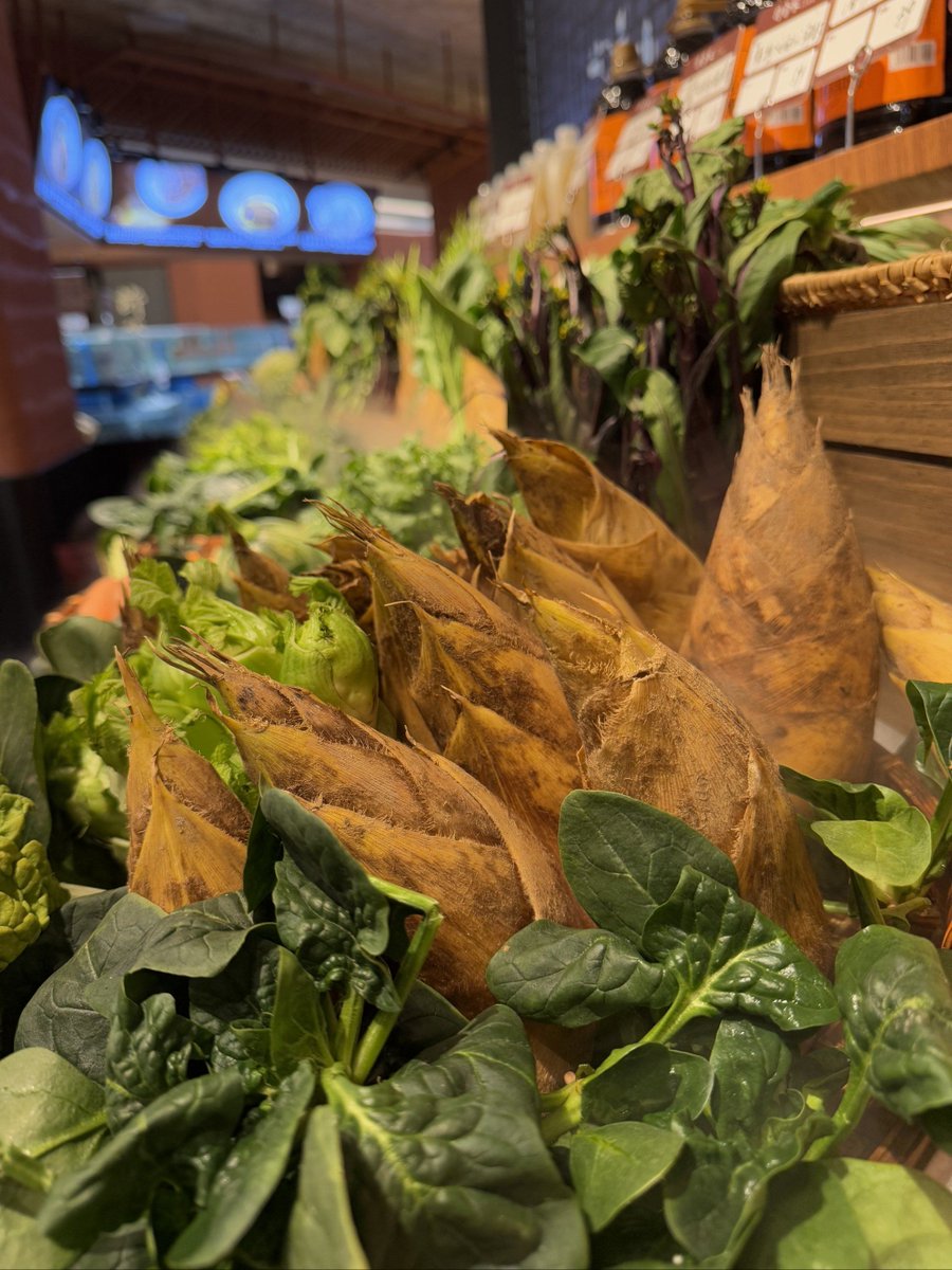 fnurlltk's tweet photo. Grab fresh seasonal veggies at our local farmers' market today—perfect for your weekend meals! https://t.co/m6syIUEwRf