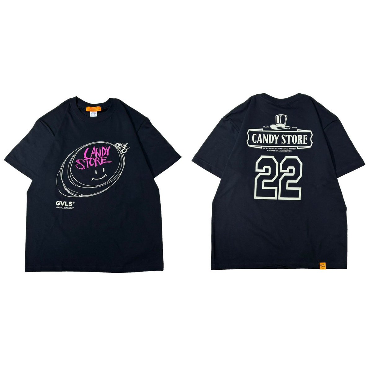 GAVIAL #中村達也 今日と明日 #岐阜