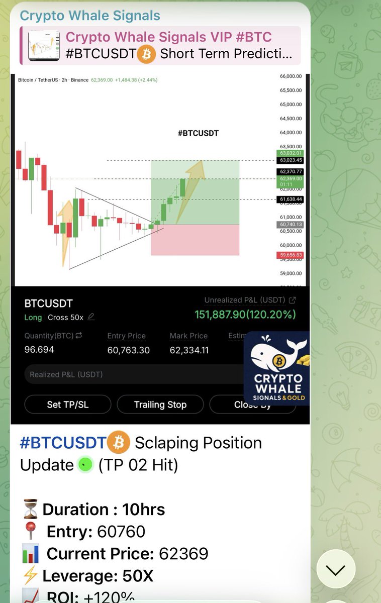 BitWhaleTrader's tweet photo. #BTCUSDT💰 Sclaping Position Update✅(TP 02 Hit) 

⏳Duration : 10hrs
📍 Entry: 60760
📊 Current Price: 62369
⚡Leverage: 50X
📈 ROI: +120%
💵PNL : $151K 

#VIP_SIGNAL👑

🔗️ Join us in Telegrm, link in bio
@BitWhaleTrader

#BTCUSDT  $BTC #BTC   #BINANCE      #BYBIT  #ETHUSDT  #USDT  $ETH $XRP $SOL $DOGE #ETH  #ADA  #XRP