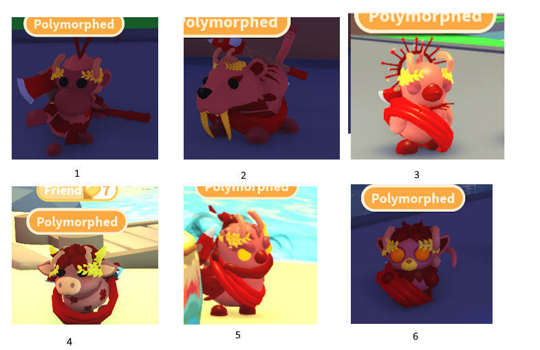FlappyLaughy's tweet photo. Hello Adopt Me Community!! I have a fun game for all of you! Can you spot the original pet? The pet that was NOT polymorphed?
First person who replies with the correct answer wins a ride potion! :D https://t.co/5DDoTgkIhX