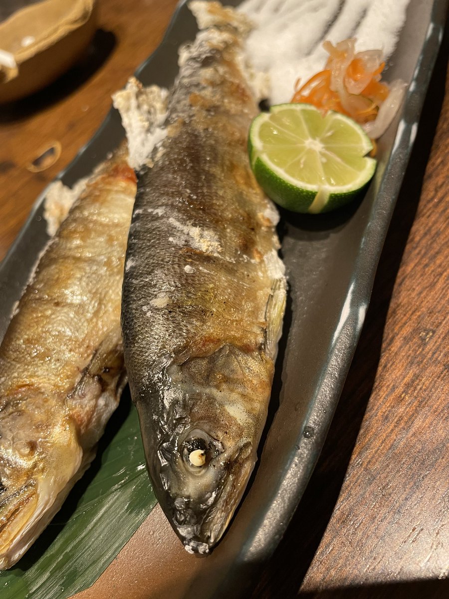 ryu_ryu_game_'s tweet photo. 今日は魚🐟 https://t.co/RvaWHGWGnT