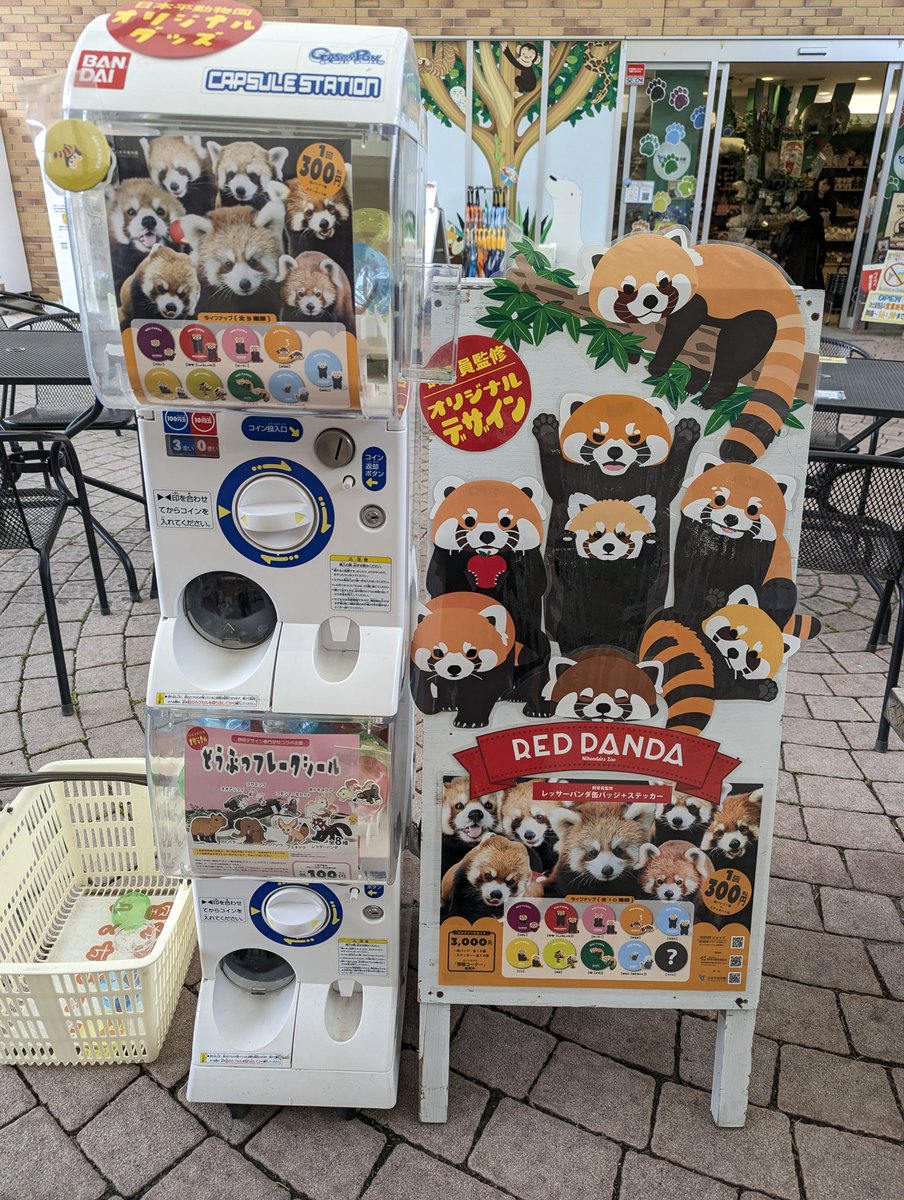 opera_dance's tweet photo. バス待ちの間に残った100円玉達ででガチャをしてななこでた…と思ってたら…え？なに？これシークレット？結構上に何個か入ってるけど２個や３個回したくらいではでないと分かった上で回したらスミちゃんでました。で、バス来たの…くやちい。 https://t.co/AclbM0V4Q5