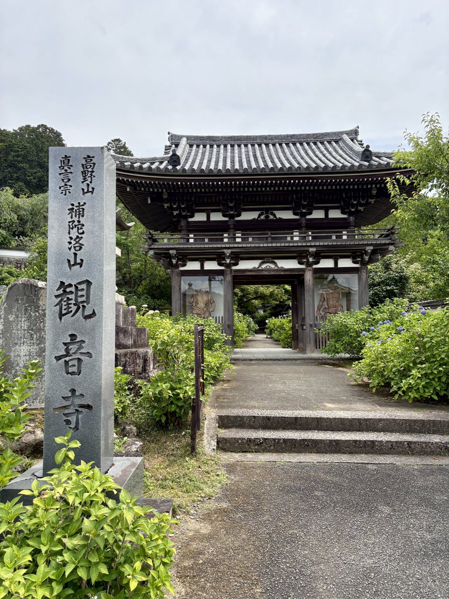 mercury_gray's tweet photo. 観音寺
紫陽花が見頃です
#紫陽花 #あじさい #アジサイ #観音寺 #写真撮っていると繋がりたい #紫陽花寺 #福知山 #花のある風景 https://t.co/rzr2cP0r3L