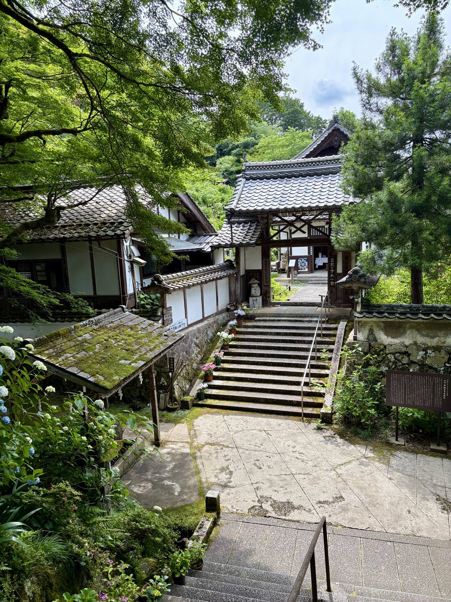 mercury_gray's tweet photo. 観音寺
紫陽花が見頃です
#紫陽花 #あじさい #アジサイ #観音寺 #写真撮っていると繋がりたい #紫陽花寺 #福知山 #花のある風景 https://t.co/rzr2cP0r3L