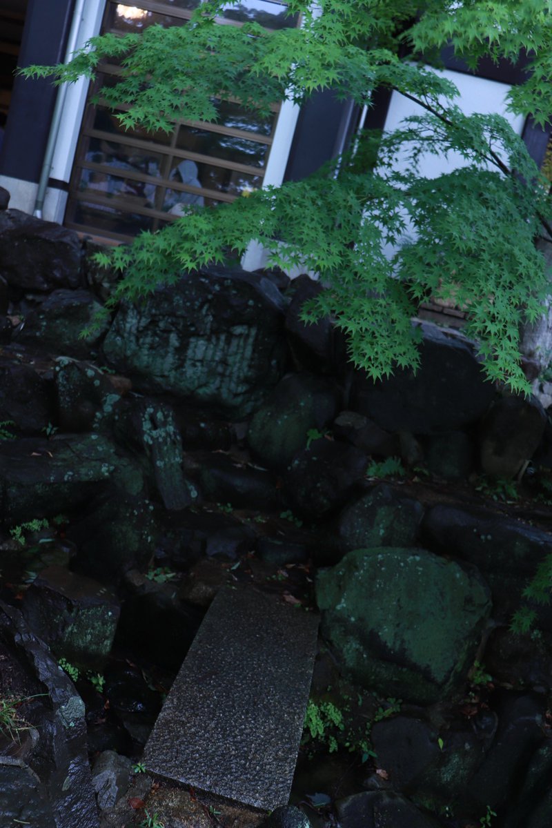 river_tetegoyou's tweet photo. お速報？
#かみこす
須磨寺 https://t.co/ZTfjurippT