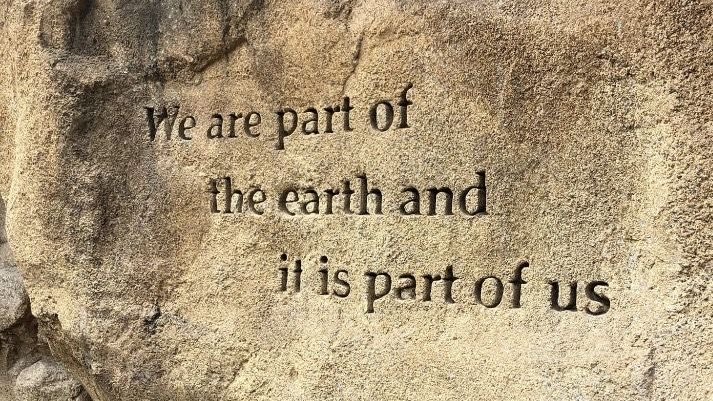 lovelystargrl's tweet photo. 🤍🌱 https://t.co/5MTbC8z0m4