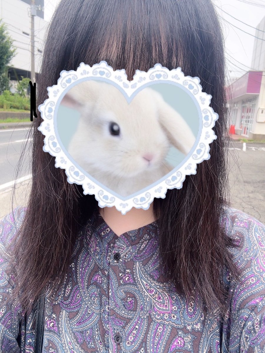 mitbitk_'s tweet photo. びふぉあふ https://t.co/nFrOCHmri3