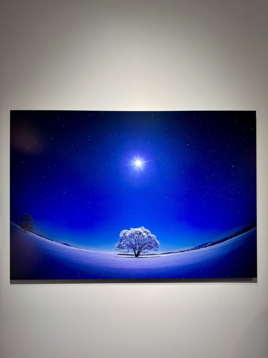 asuka_k911's tweet photo. 大好きなKAGAYAさんの展示に会期ぎりぎり母と行ってきました！
KAGAYAさんとスタッフさんが命の時間を費やした1枚。
星や空が大好きな母と見ることができて、とても幸せな時間でした。
いろいろなものがAIで作れる時代に、本物の大自然はあまりに美しすぎて、少し怖くなるような感覚すらありました。 https://t.co/gTR3liMDKo