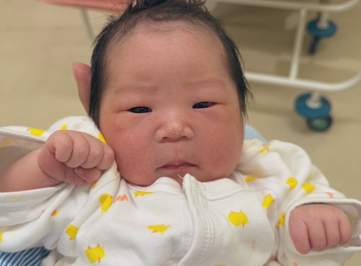 aquastk's tweet photo. 本日、我が家に4人目のグーナー(次女)が爆誕！母子共に元気で、4人目にして1番大きくて何やらヨケレシュの雰囲気が…アーセナル優勝年に産まれるなんてこれは忘れられない…本日、我が家も完全優勝です！🏆
これから家族一丸となって楽しんで行きます！嫁さん、本当にありがとう！！
#Arsenal #COYG https://t.co/RwcYF5Ovw3