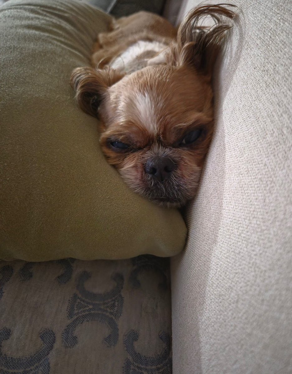 hyuzzi09's tweet photo. ㅃㄹ집가서봉구처럼누워잇어야됨 https://t.co/nxwxPn1BHF