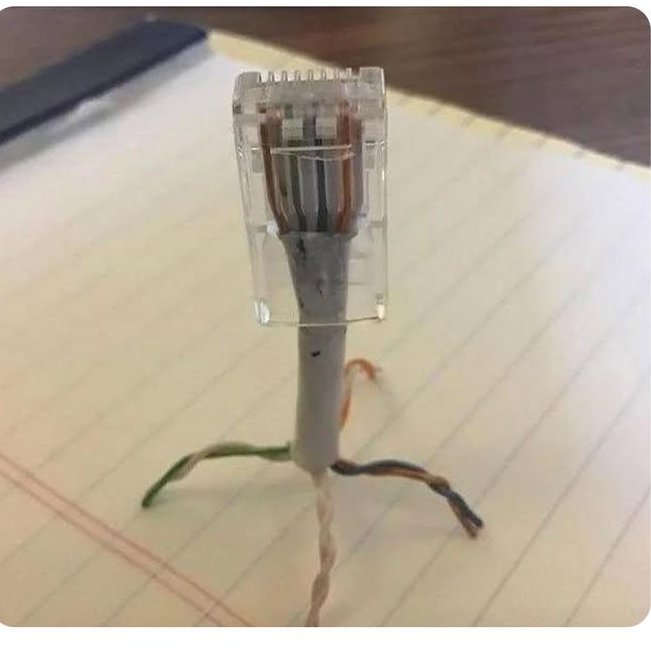 Cipher_twt's tweet photo. A computer virus or something idk https://t.co/V2O8Etnncg
