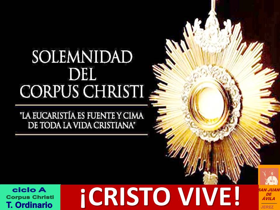 AP_SJA's tweet photo. ✝️ Solemnidad de Corpus Christi

📖 Yo soy el pan vivo que ha bajado del cielo; el que coma de este pan vivirá para siempre. Y el pan que yo daré es mi carne por la vida del mundo

El que come mi carne y bebe mi sangre tiene vida eterna

⛪️¡Feliz Domingo!

https://t.co/NUOmSTYqVJ https://t.co/EWexcAogbc