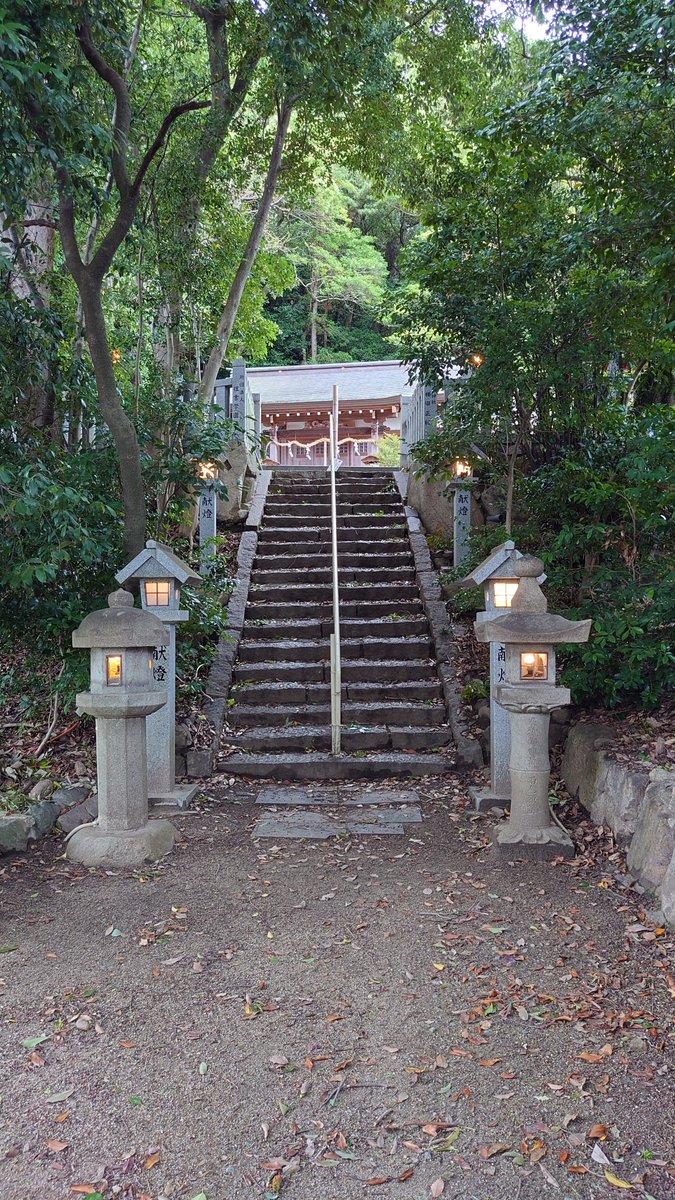 Good_Create_X's tweet photo. 麓を少し登った所にある若宮八幡宮
雰囲気がよかった
#若宮八幡宮 #神社巡り #参拝 https://t.co/mvCd4qjNsX