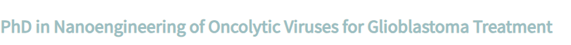 RSEQUIMICA's tweet photo. 🔊PhD in Nanoengineering of Oncolytic Viruses for Gliobastoma Treatment  
🗓️Deadline: 12/06/2026 ➡️https://t.co/3oo3Fewu96 https://t.co/ROrESloTJz