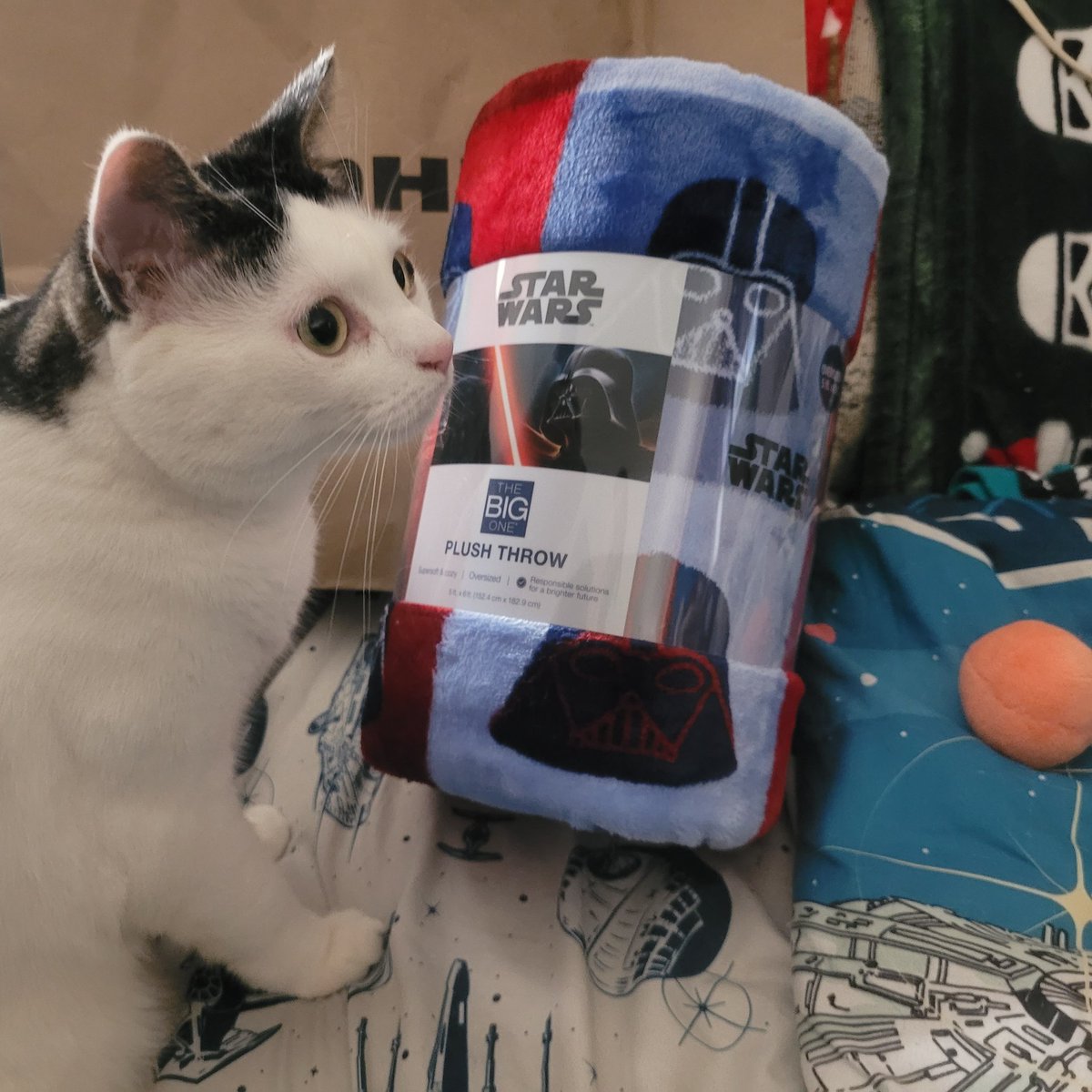 JediMushroom's tweet photo. New #DarthVader blanket acquired from @Kohls ... "Impressive...Most Impressive."
L🍄VE, Jedi Mushroom Skywalker!
#SithSaturday
#catsoftwitter
#StarWarsCats
#StarWarsQuotes
#MayTheForceBeWithYou
#MayThePawsBeWithYou https://t.co/FQ8r70fcQi