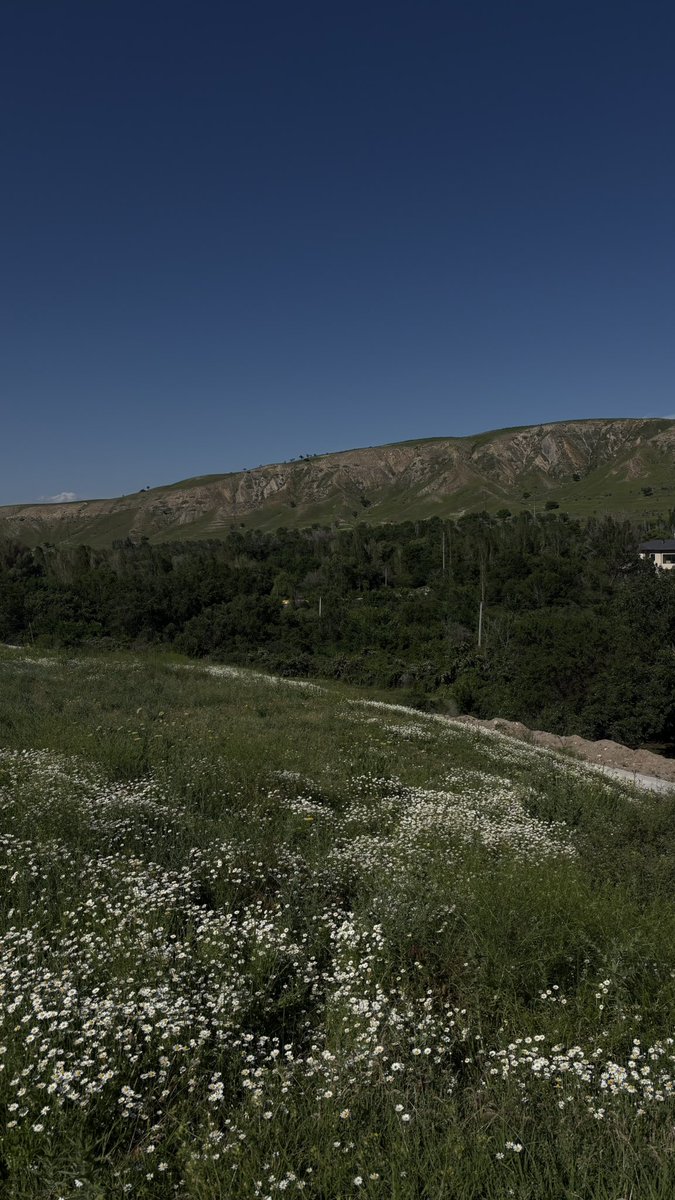 19achopa's tweet photo. жайдын алгачы күндөрү 🌿 https://t.co/mOXDH265Rr